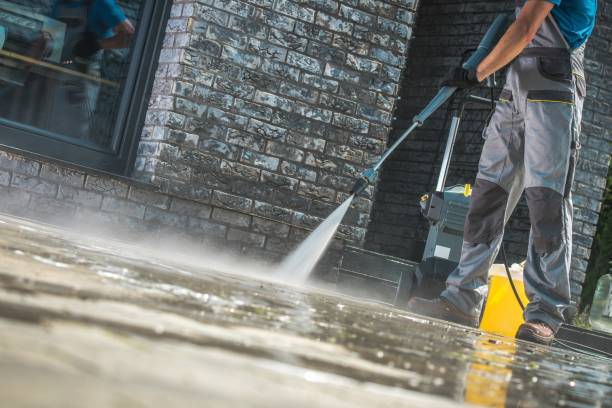 Best Animal Enclosure Cleaning  in Hollywood, FL